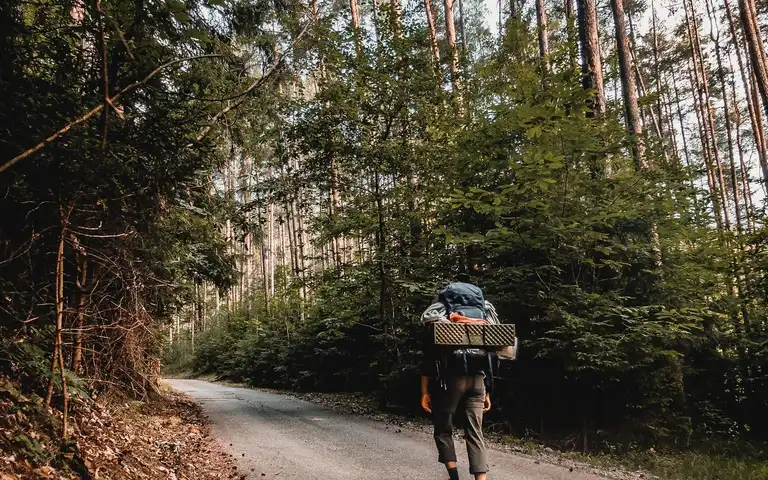 A person carrying a backpack along a wooded trail.