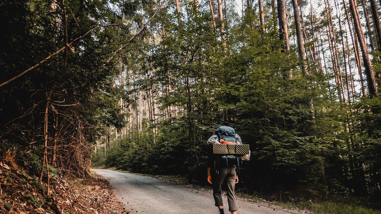 A person carrying a backpack along a wooded trail.