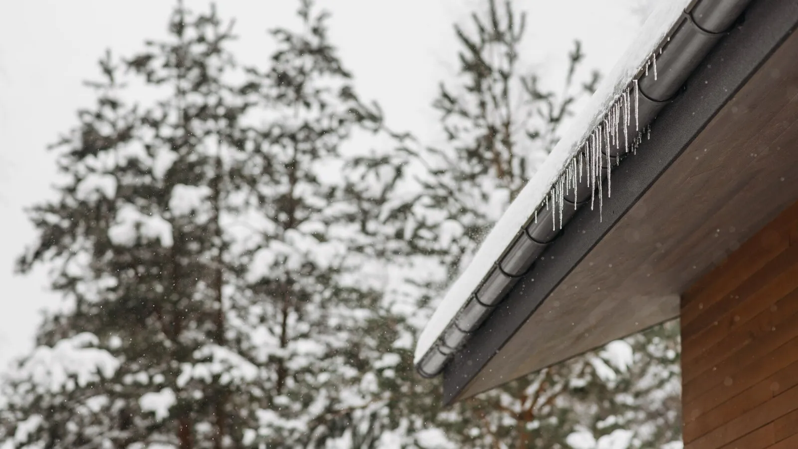 Snow rests along a roof edge where icicles hang below it, with snow-covered trees behind.