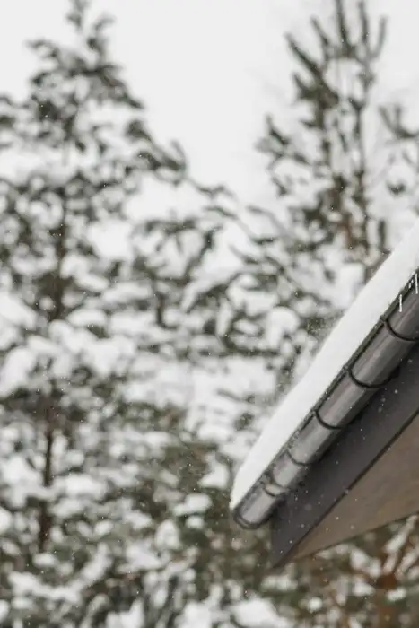 Snow rests along a roof edge where icicles hang below it, with snow-covered trees behind.