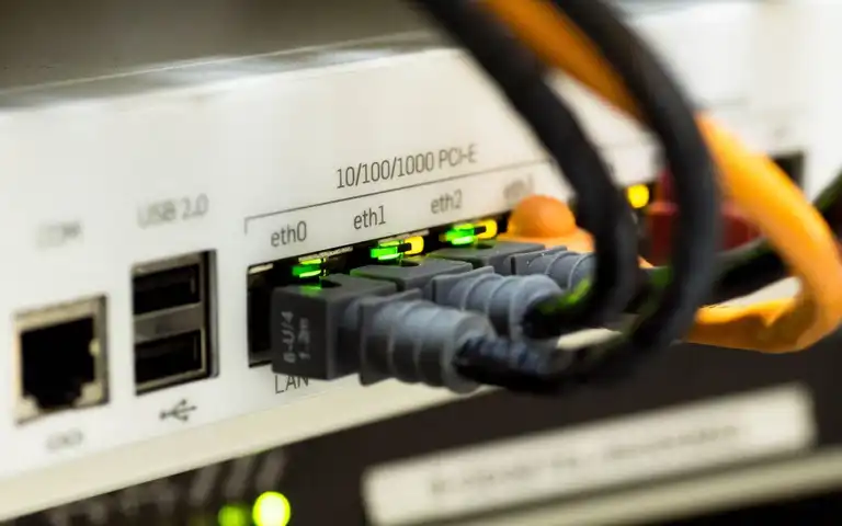 Ethernet cables plugged into LAN ports on a network device, with status lights illuminated.