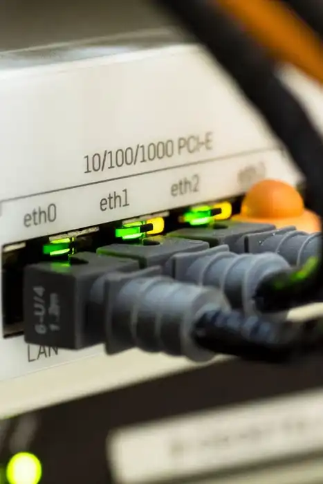 Ethernet cables plugged into LAN ports on a network device, with status lights illuminated.