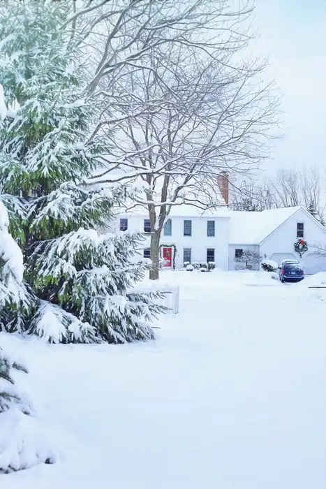 A snow-covered house among frosted trees in a residential neighborhood.